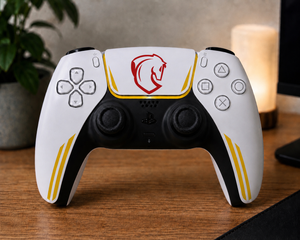 Manette PS5 Personalisée Le Mans — Kit Pochoirs & Stickers